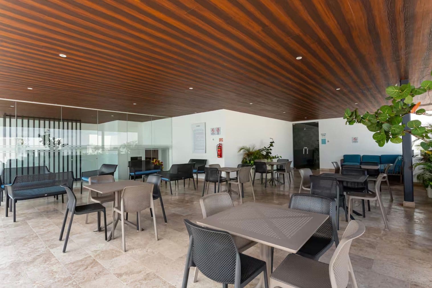 Ipana Playa del Carmen