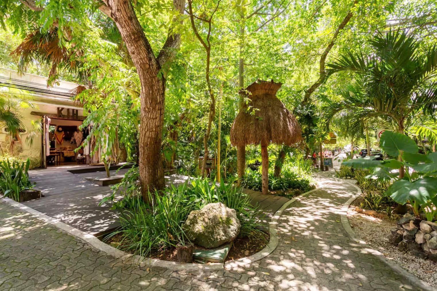 Ipana Playa del Carmen