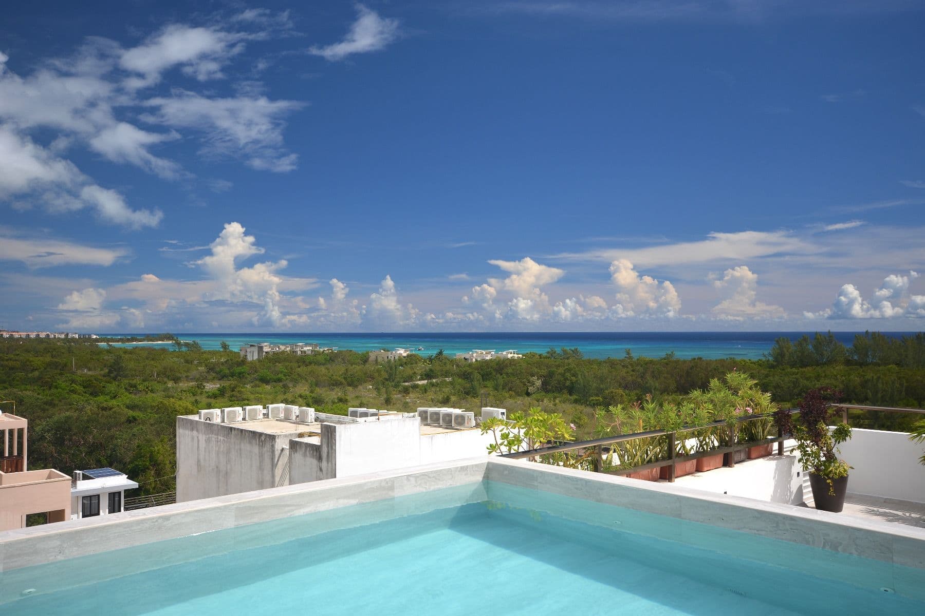 Mayank Monk 1 bedroom